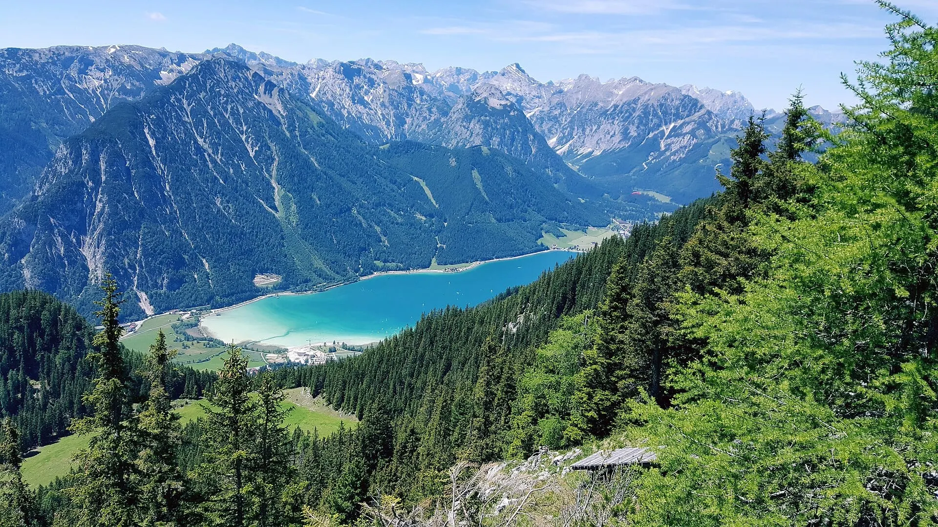 The turquoise Achensee seen from the forest above the lake