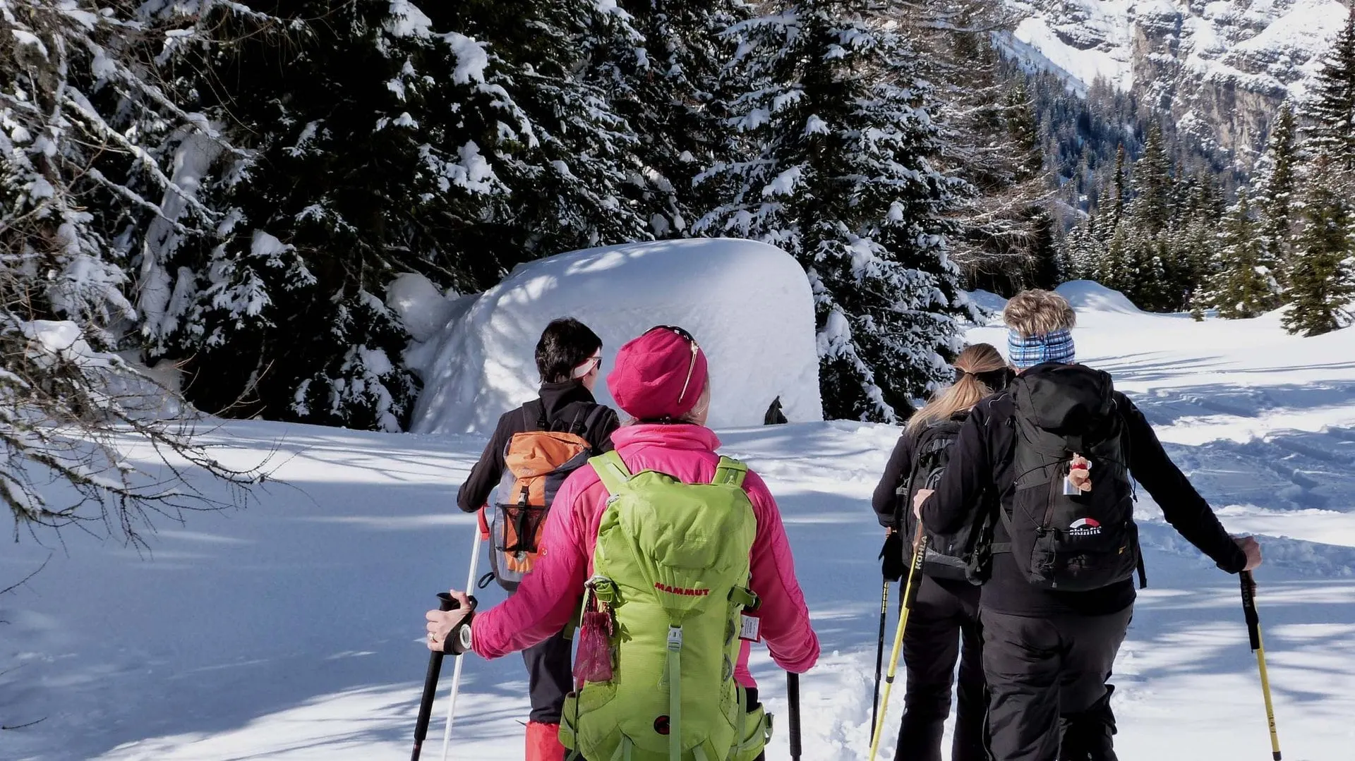 Group snowshoeing through snowy forest near Innsbruck