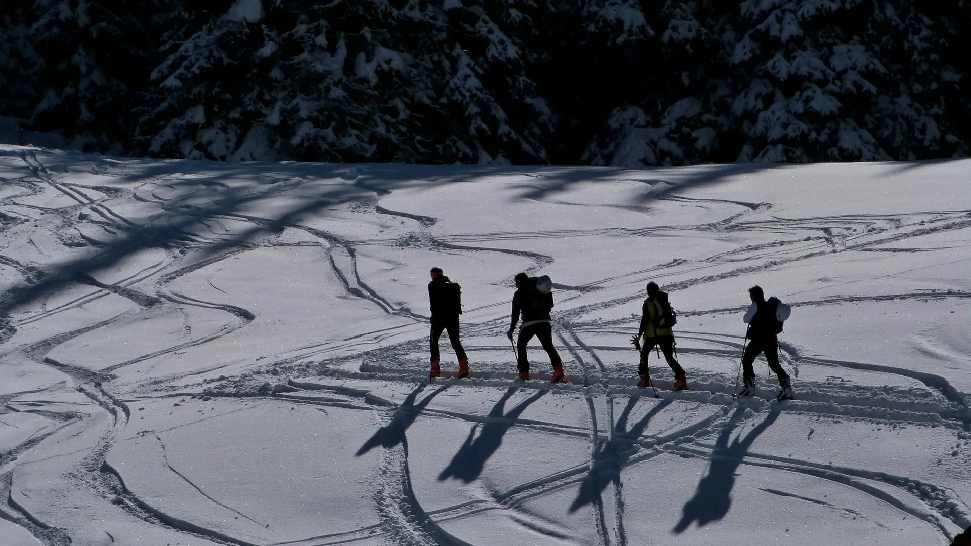 Line of snowshoe hikers crossing an open snowfield