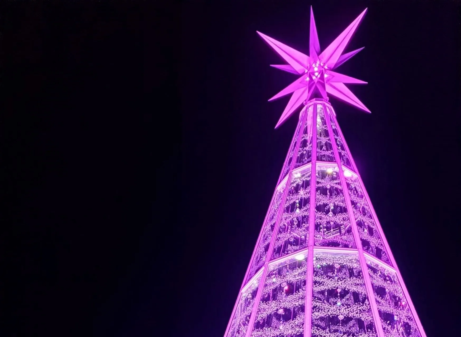 Pink illuminated crystal Christmas tree at night